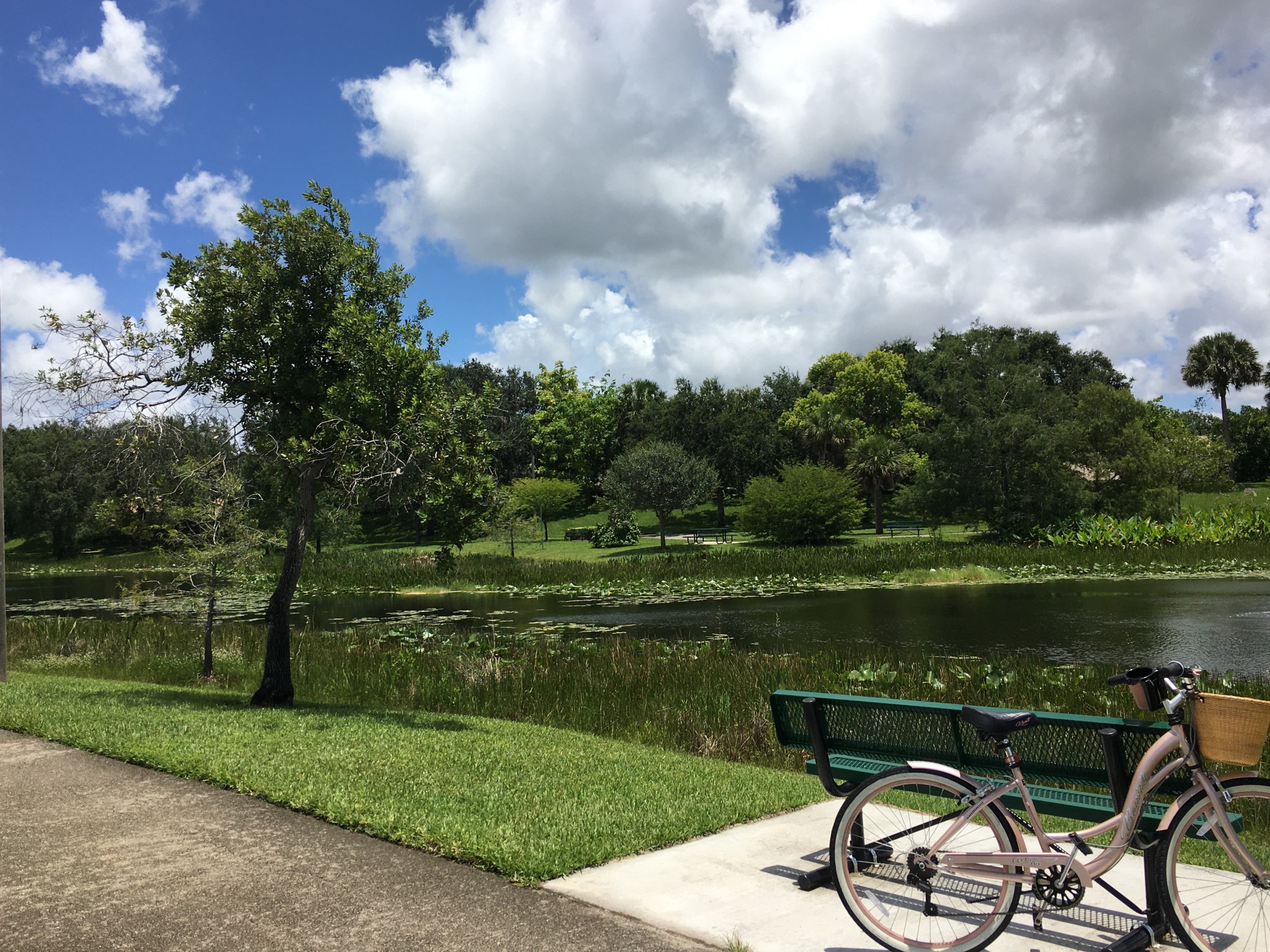 North Community Park bike